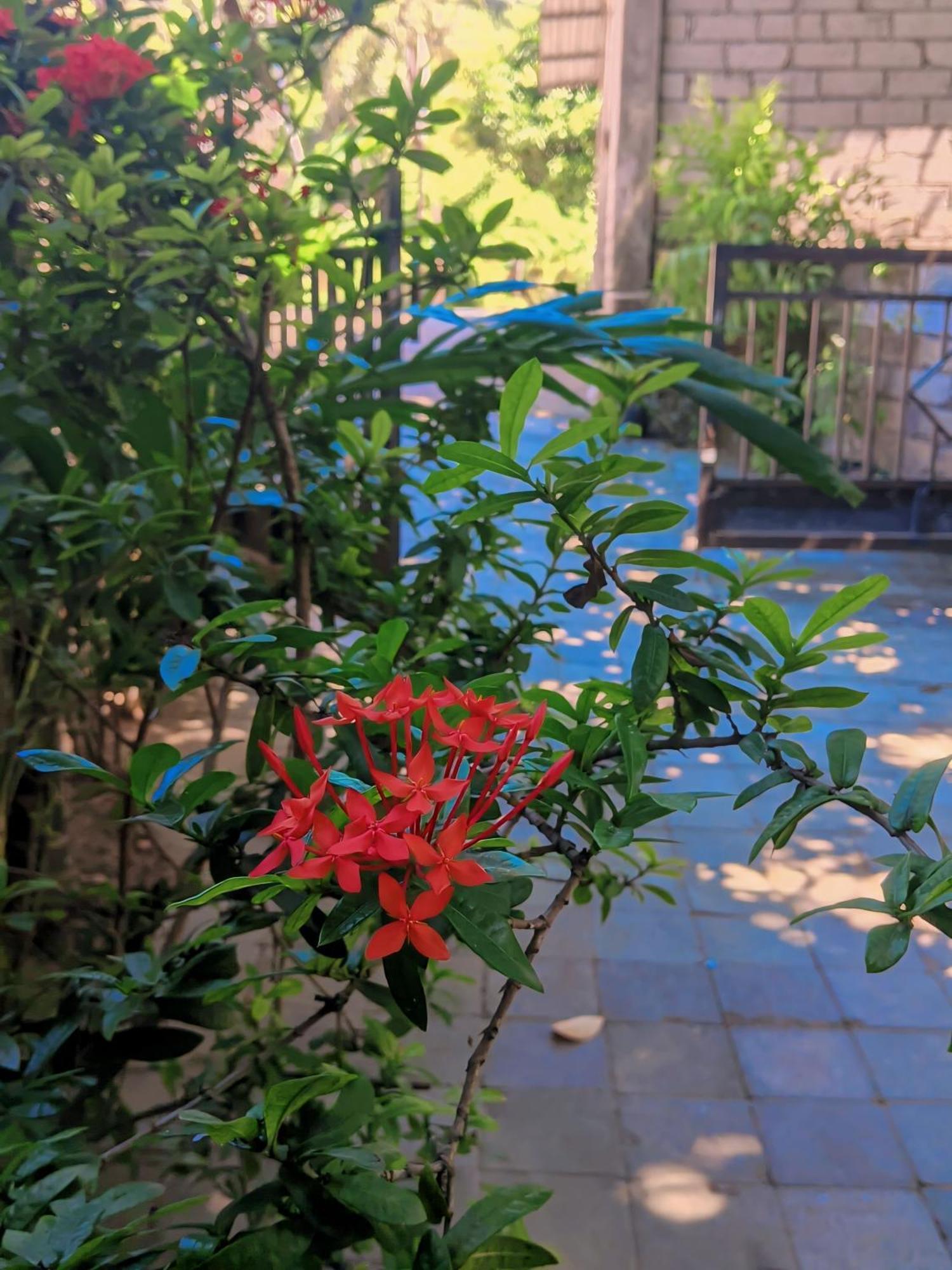 Three V Homestay Kuta  외부 사진