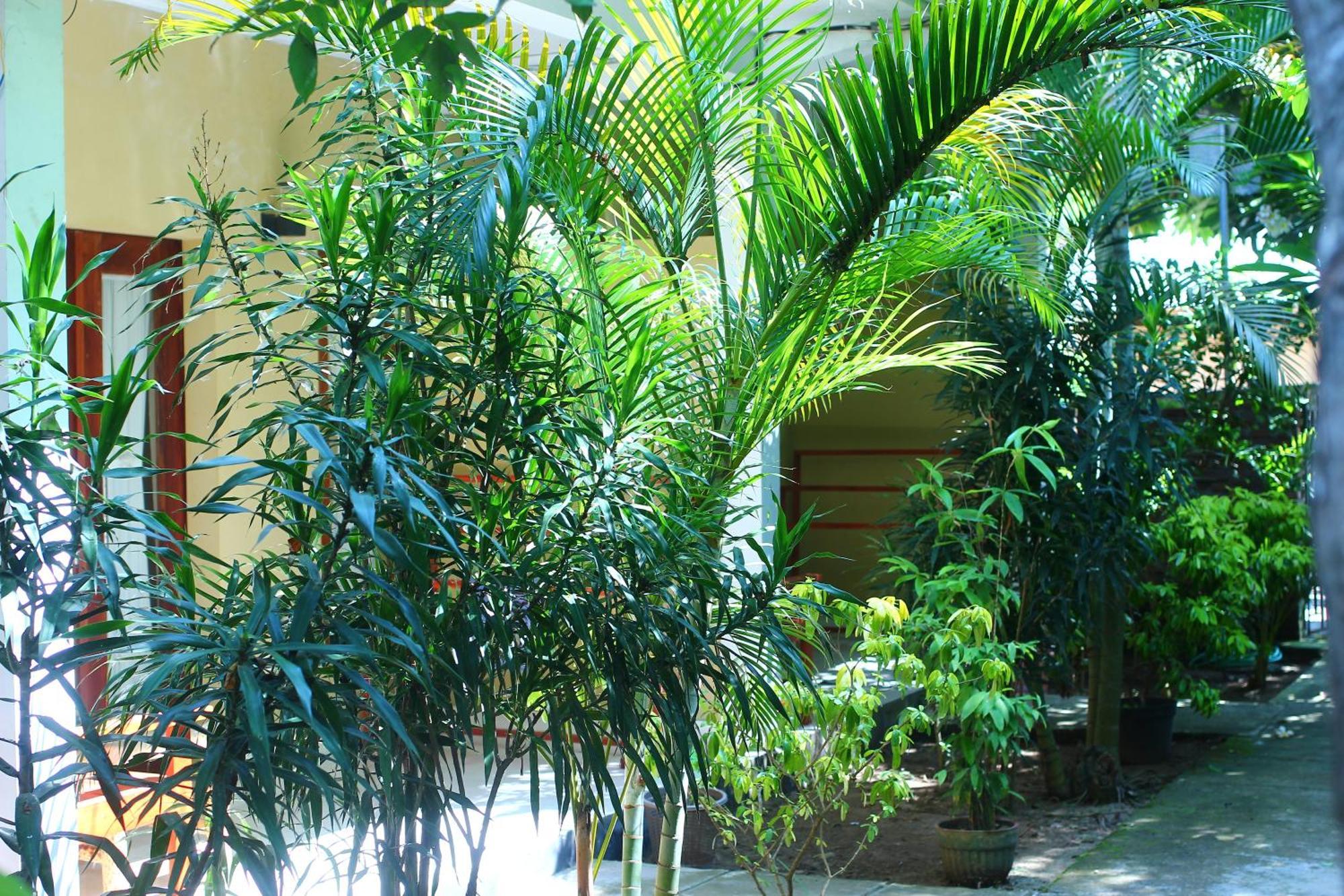 Three V Homestay Kuta  외부 사진