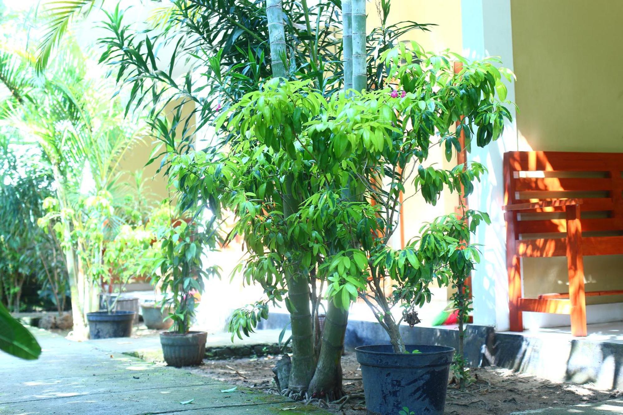 Three V Homestay Kuta  외부 사진