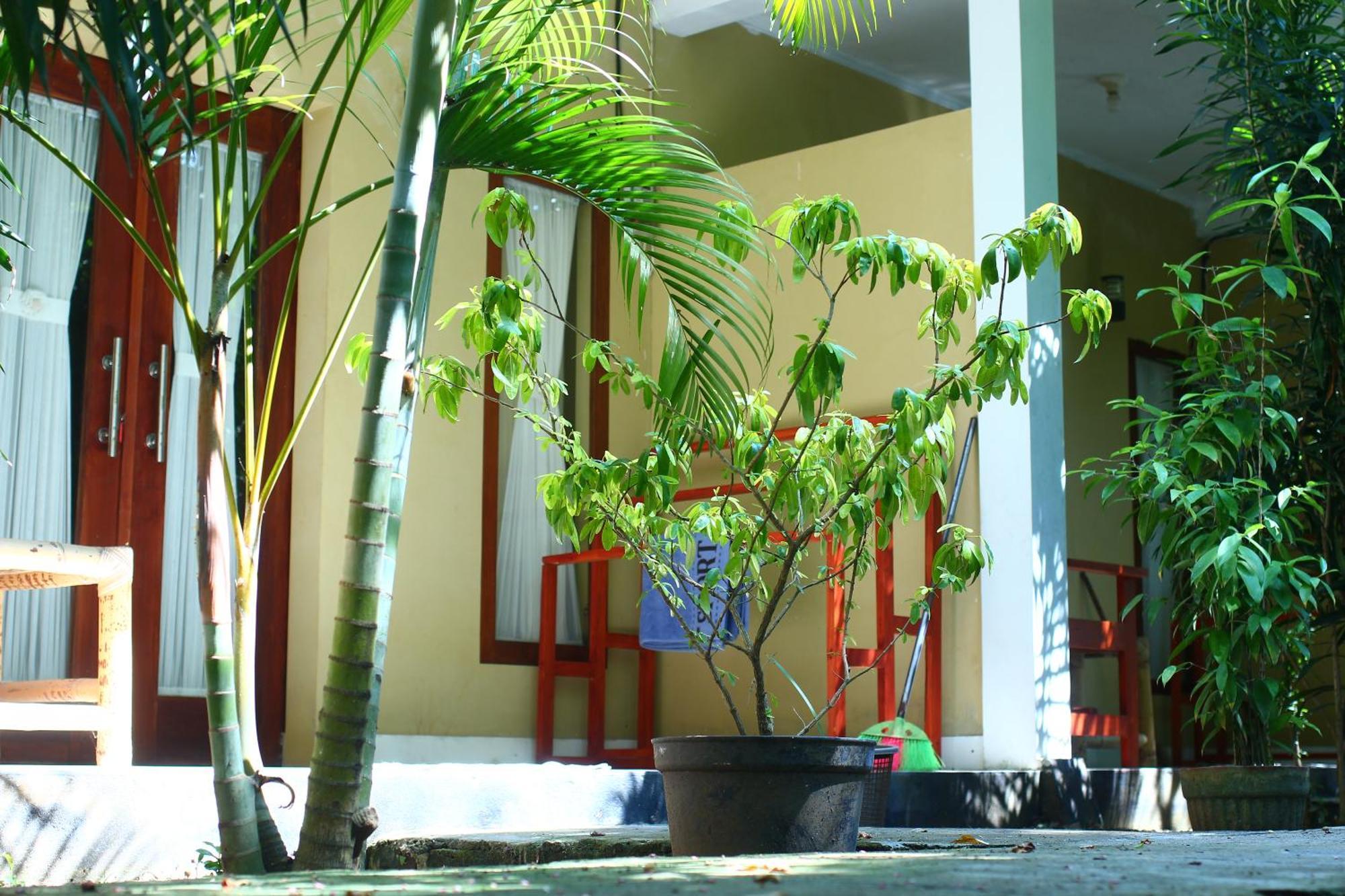 Three V Homestay Kuta  외부 사진