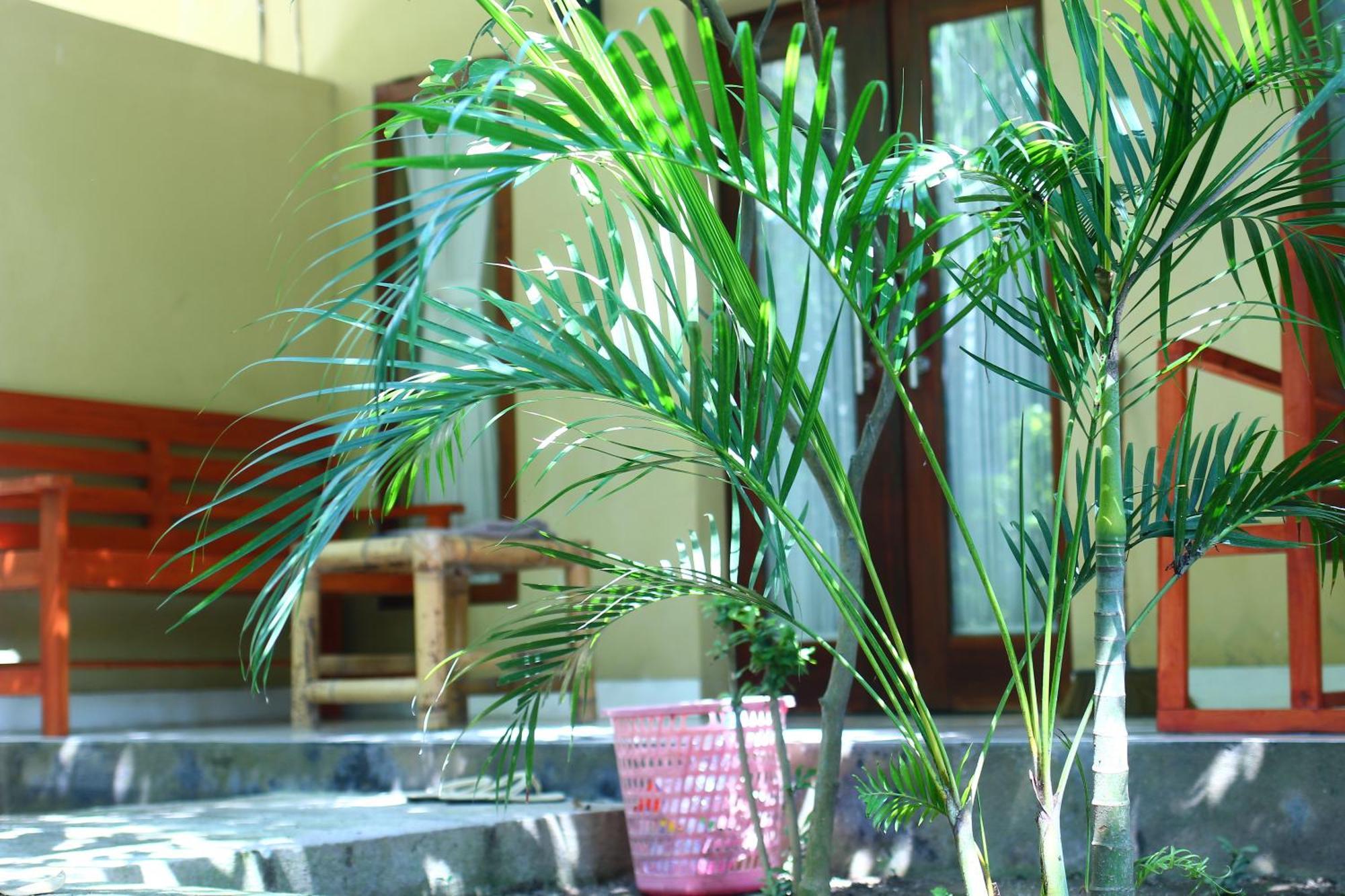 Three V Homestay Kuta  외부 사진