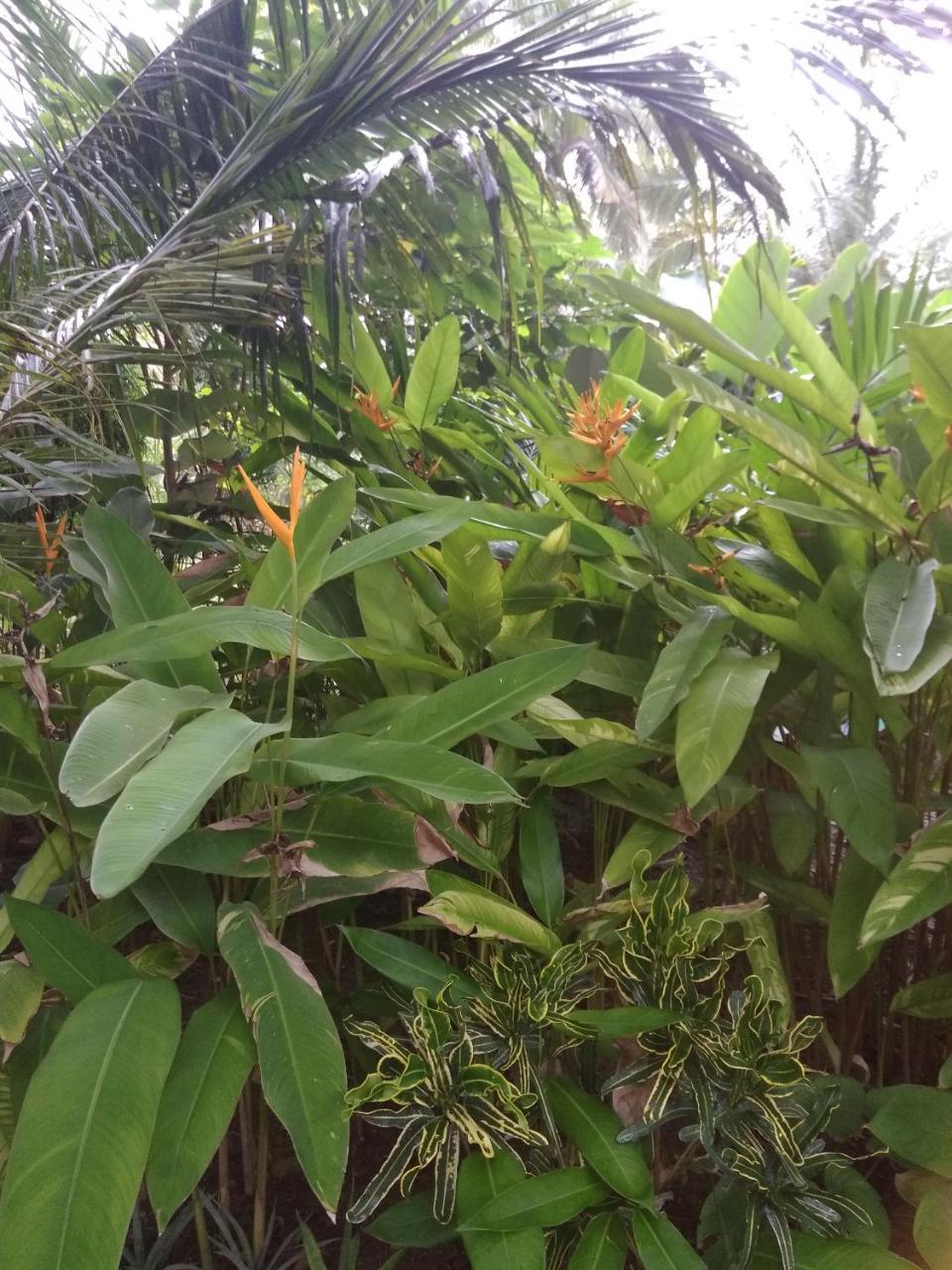 Three V Homestay Kuta  외부 사진